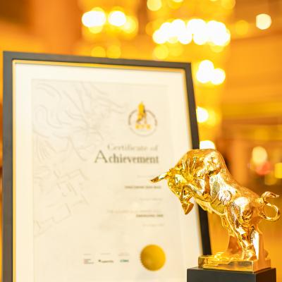 Golden Bull Award 1
